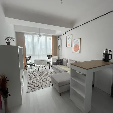 Metro & Shopping Malls Apartment *