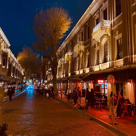 King Besiktas Istambul