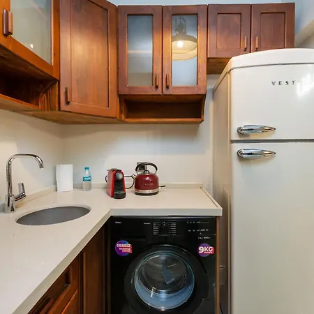 Maison Chic : Newly Renovated 3br In Center Istanbul