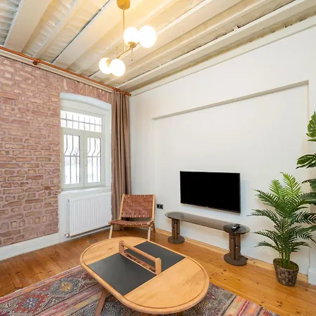 Maison Chic : Newly Renovated 3br In Center Istanbul