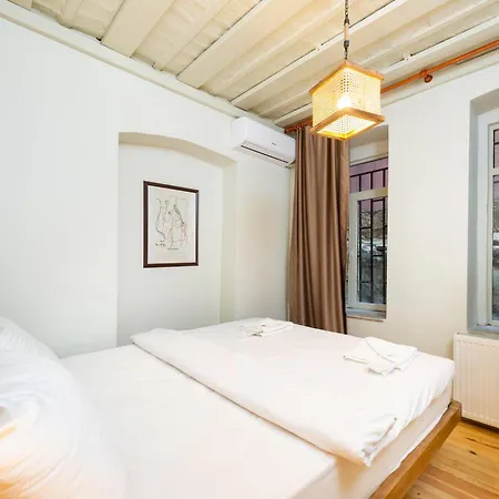 Maison Chic : Newly Renovated 3br In Center Istanbul