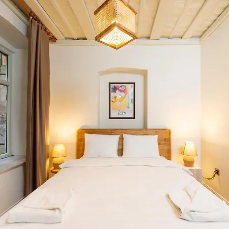 Maison Chic : Newly Renovated 3br In Center Istanbul