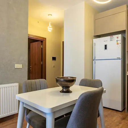 212 Outlet Karsisinda Lux N7 Apartment Istanbul