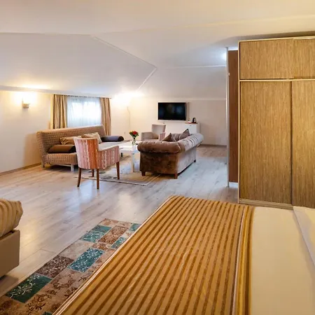 Hotel Orya