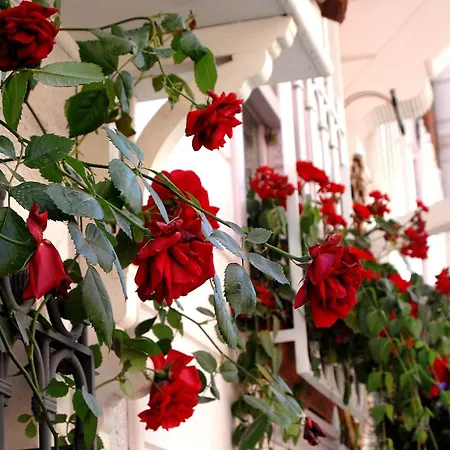 Hotel Darussaade Old City - Sultanahmet