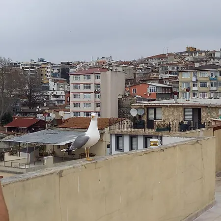 Avsin 3* Istanbul
