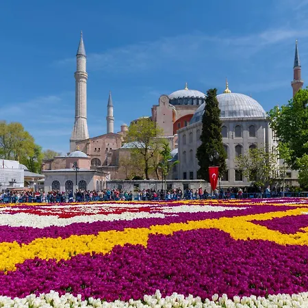 Hotel Pera Tulip & 4*