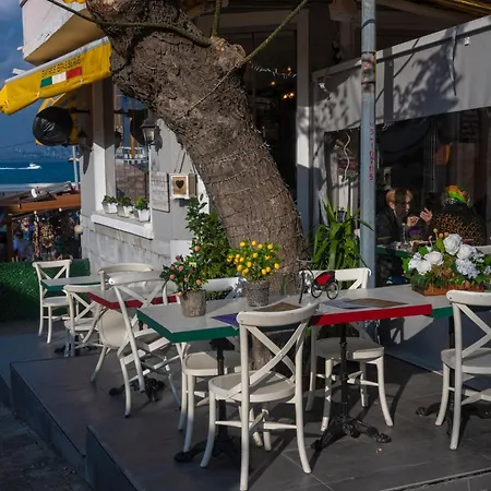 Tulip & Hotel Istambul
