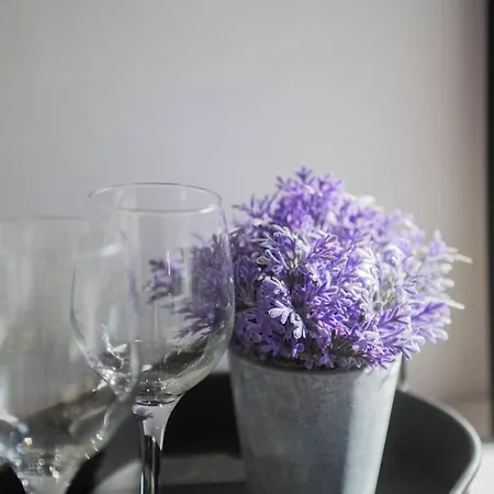 Stylish Duplex House With A Special Terrace Apartment Istanbul