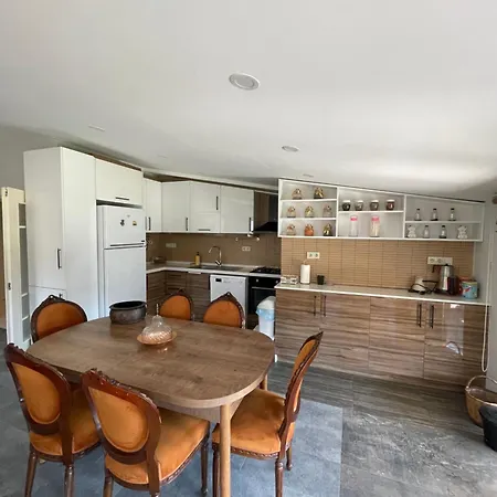 Beykoz Dag Evi Villa Istanbul