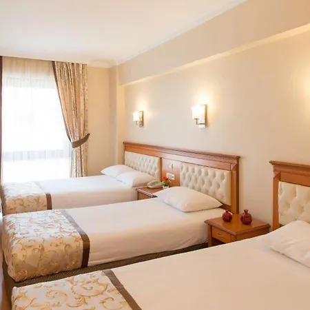 Hotel Prestige Old Provincia di Istanbul
