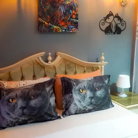 Galata Design