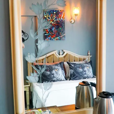 Galata Design Hotell Istanbul