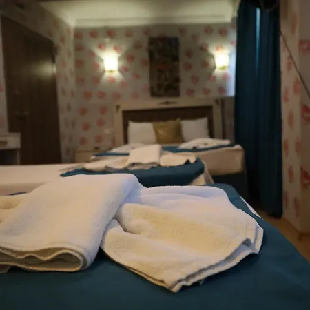 Galaxy Sultanahmet Hotel Istanboel