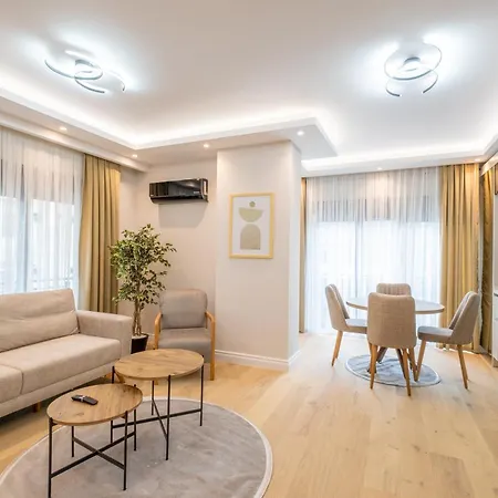 Mayer Skycon Besiktas Istanbul