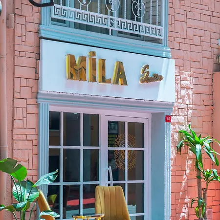 فندق Mila Taksim اسطنبول