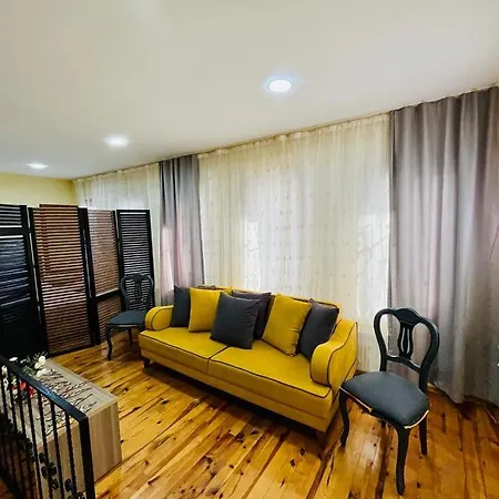 Dublex Flat In Taksim Istanbul
