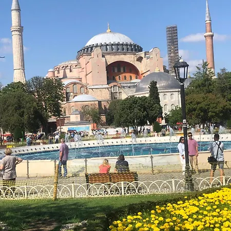Martı * İstanbul