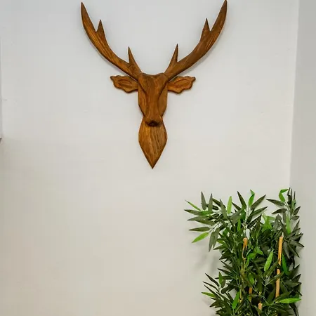 Aparthotel Pesa *