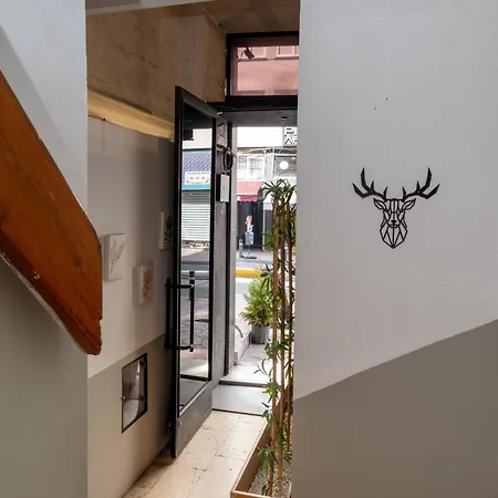 Pesa اسطنبول