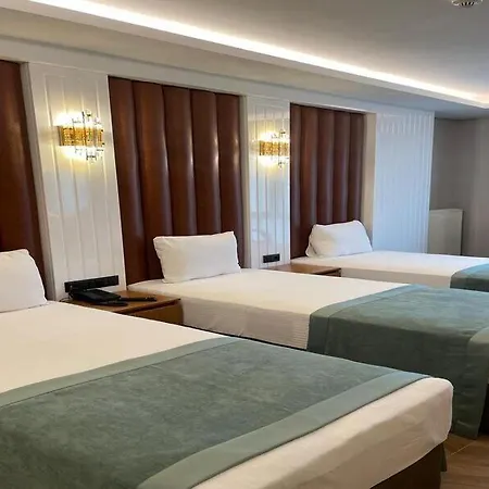 Отель Gumus Palace