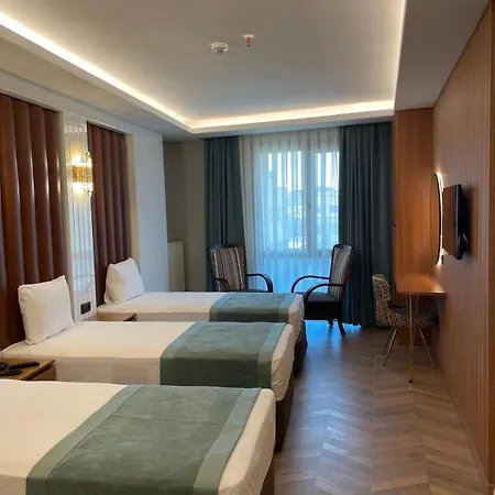 Отель Gumus Palace
