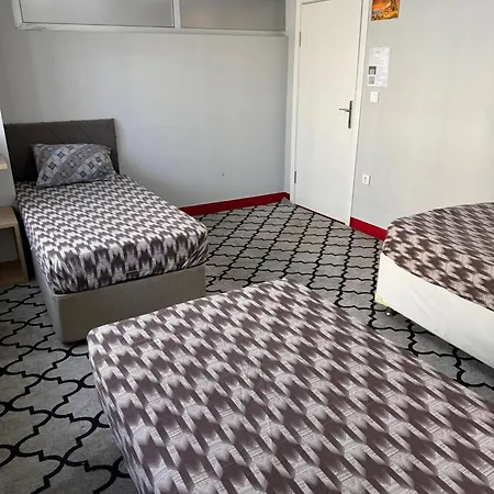 Проживание в семье Transit 777 *