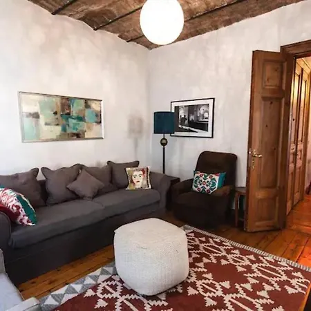 Historic Spacious Galata Istanbul