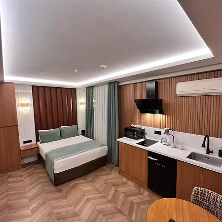 Отель Gumus Palace 4*