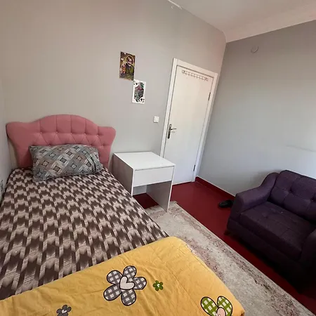 Homestay Transit 7