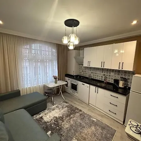 Apartment Yeni , Merkezi , Galata'da #2 Istanbul