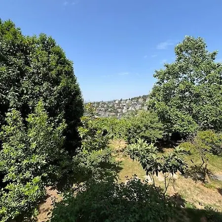 Nature Villa