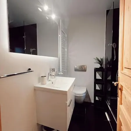 Renovated Historical Manor Villa