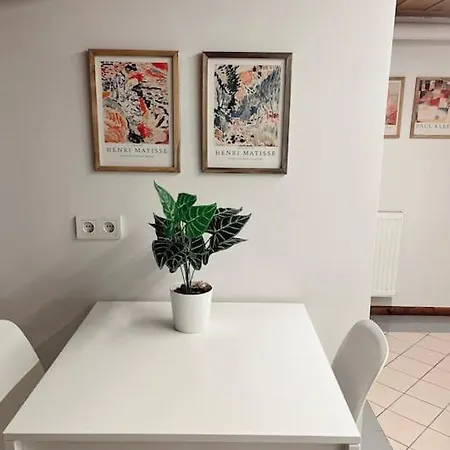 Renovated Historical Manor * Istanbul