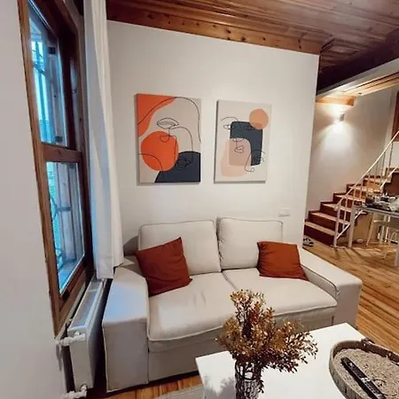 Villa Renovated Historical Manor Istanbul