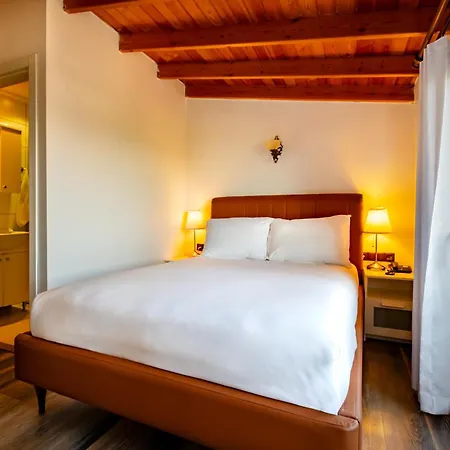 Hotel Mangana