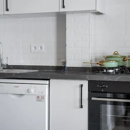4b2 Brand New Flat With Air Conditioning In Center Istambul