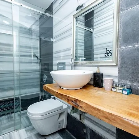 House With 5 Floor And Elevator * Istanbul