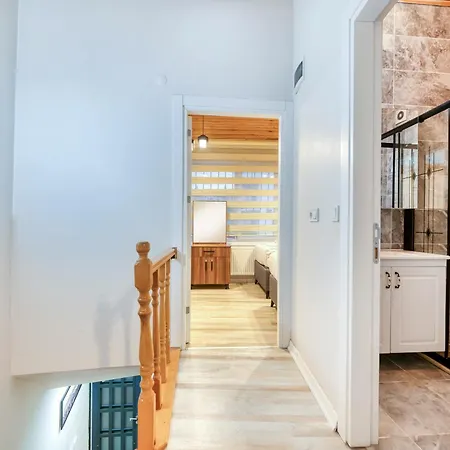 Villa Hagia Detached House Istanbul