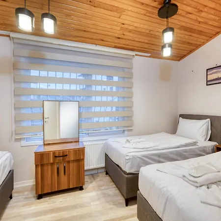 Hagia Detached House Villa *