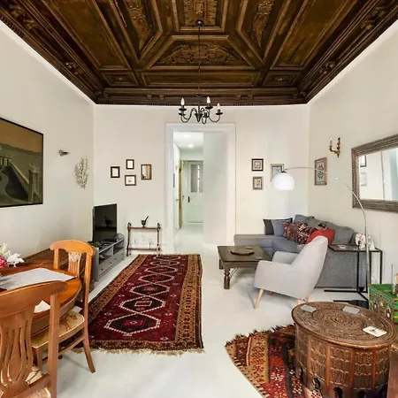 Apartment High Ceiling Authentic Historic Ottoman Home! #49 Istanbul