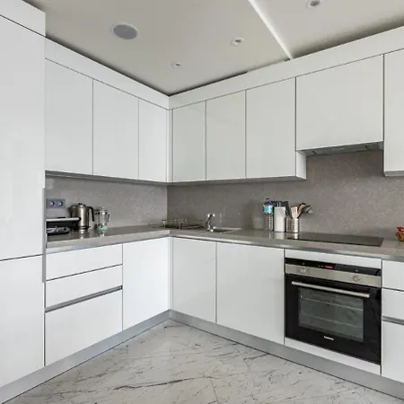 Apartment Gorgeous Modern 1bd Views W Poolgym! #255