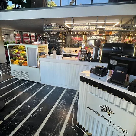 星城酒店 酒店 伊斯坦布尔