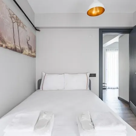 Charming Bright New 2bd1bath Wparking!#339 Apartment Istanbul