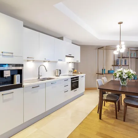 Cvk Park Bosphorus Hotel Istanboel