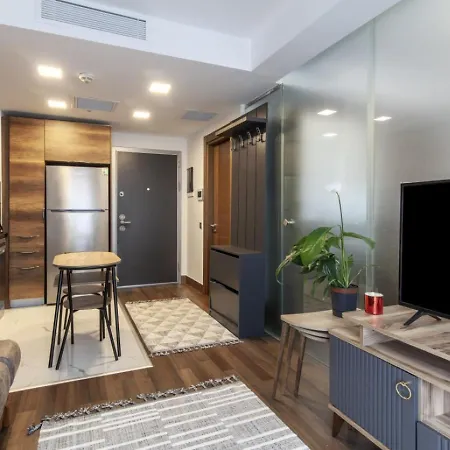 Flat With Excellent Location In Sisli Apartment *