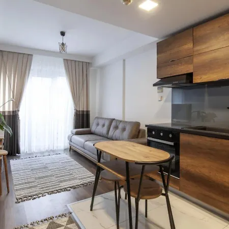 Flat With Excellent Location In Sisli
