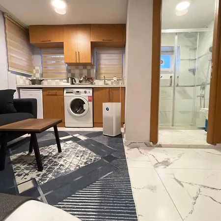 Apartment Charming With Fast Wifi And Ac Near Nisantasi And Taksim #101 *