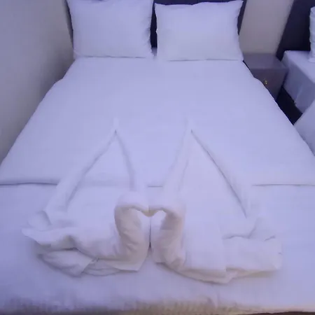 Mir Comfort Hotel *