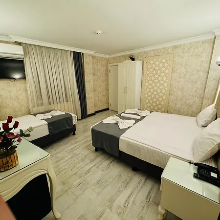 Hotel Old Viva